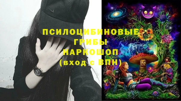 шишки Бронницы